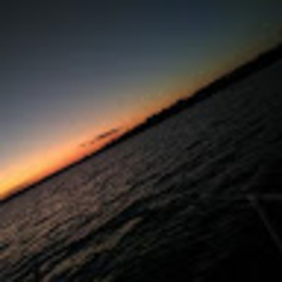 Meet your Posher, Kyra - Picture 1 of 1